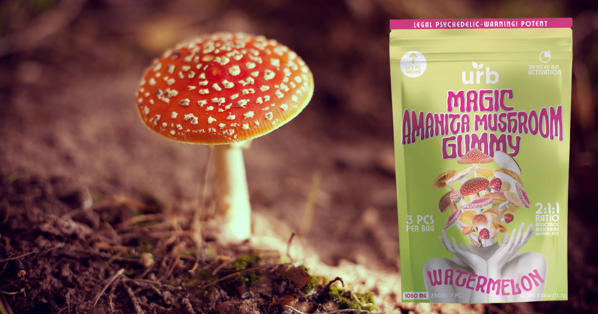 Legal Magic Mushrooms In New York